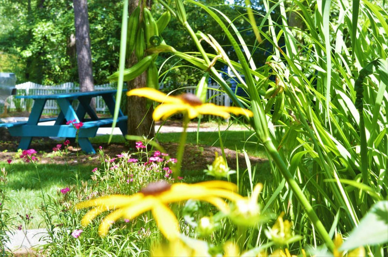 شاطئ بيثاني Meris Gardens B&B المظهر الخارجي الصورة