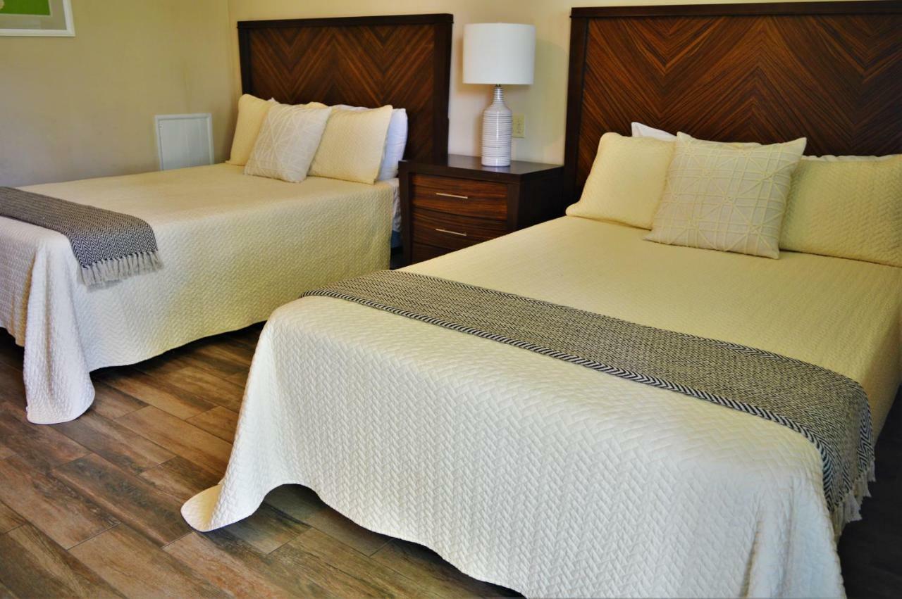 شاطئ بيثاني Meris Gardens B&B المظهر الخارجي الصورة