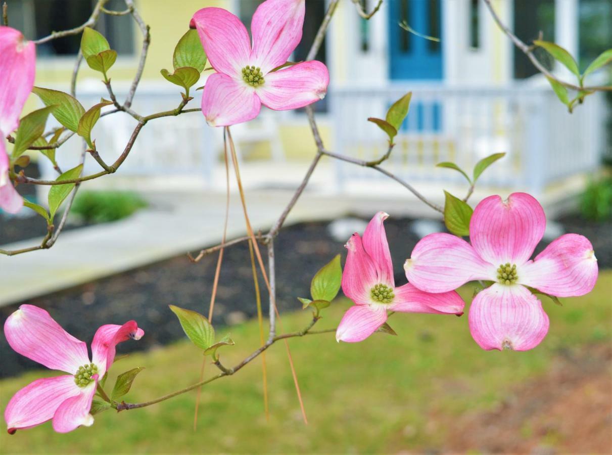 شاطئ بيثاني Meris Gardens B&B المظهر الخارجي الصورة